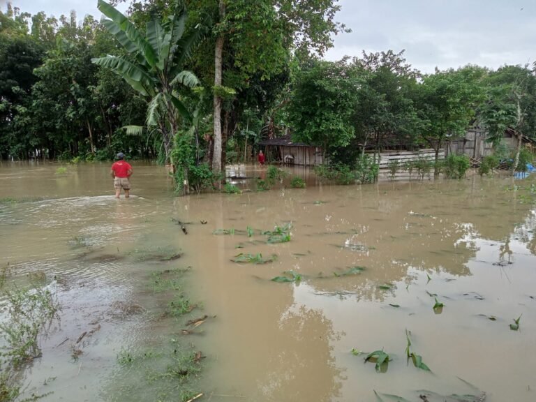 Pemantauan dampak banjir bengawan Solo di dusun Sekarputih Desa Sekarjati Kc Karanganyar Kab Ngawi bersama Trantib