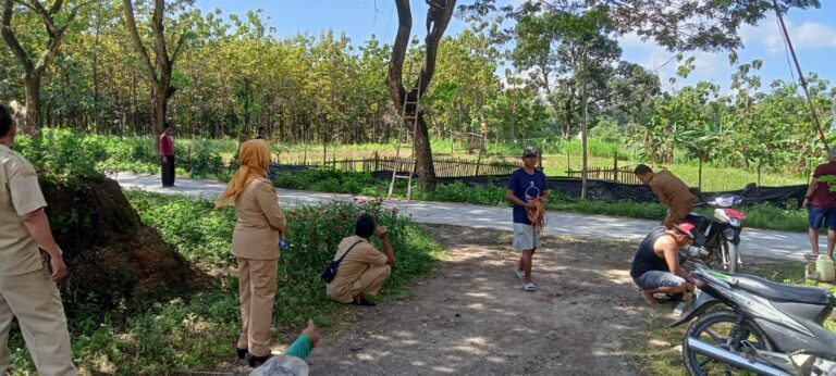 Pendampingan dan Pengamanan Penebangan Pohon Pinggir Jalan Yang Membahayakan Pengguna Jalan