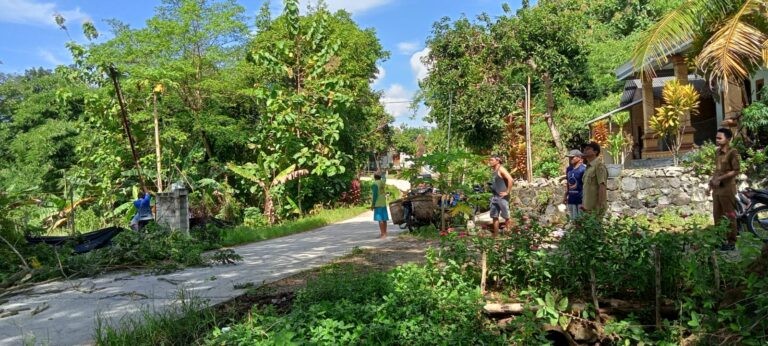 Giat Penebangan Pohon Pinggir Jalan