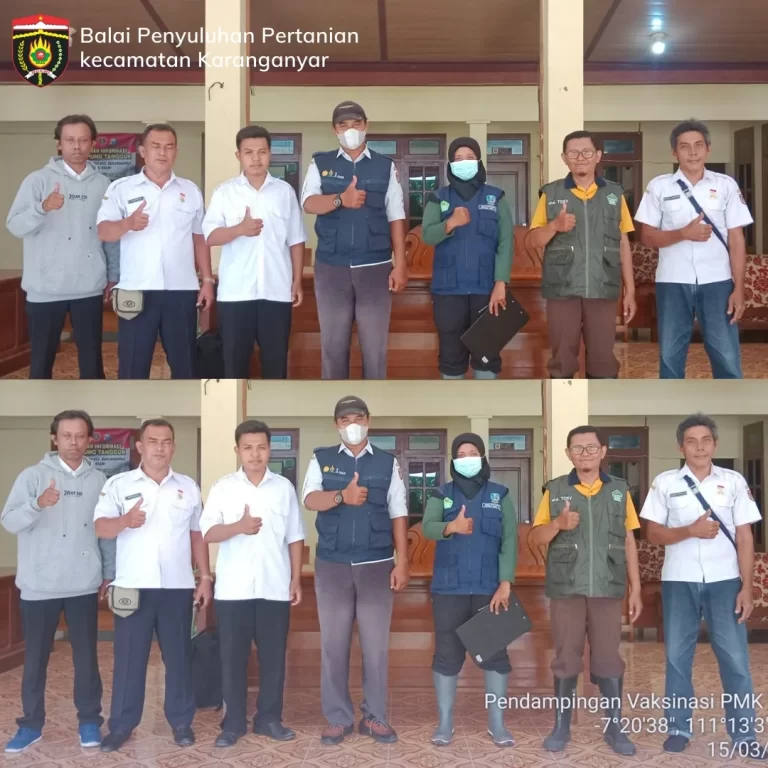 PENDAMPINGAN VAKSINASI PMK (PENYAKIT MULUT DAN KUKU) DI DESA MENGGER